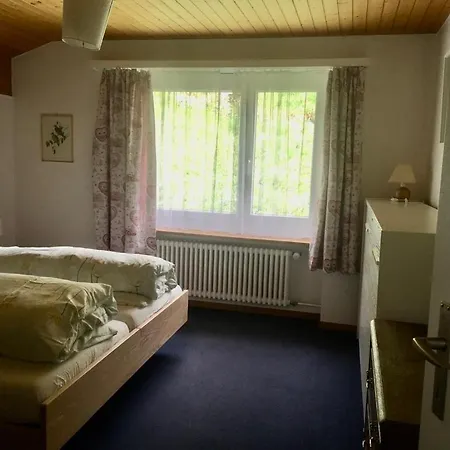 Daire Apollo Saas Fee